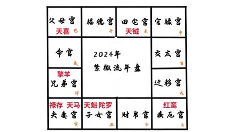 2024 流年命宮|震豐八字：紫微斗數2024流年命盤詳解